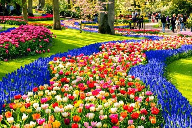 Keukenhof Skip-the-line Tickets: Countryside & Farm Private Tour - Key Things to Know Before You Book