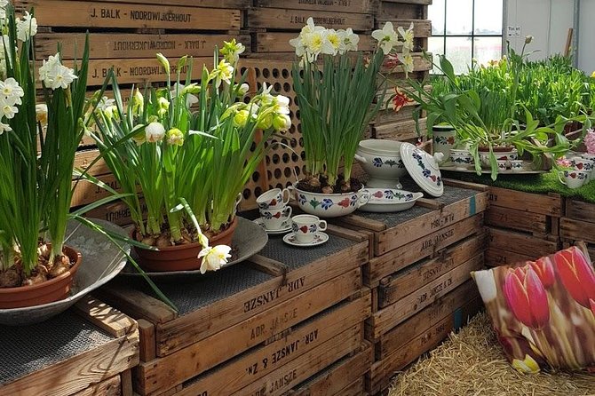 Keukenhof Skip-the-line Tickets: Countryside & Farm Private Tour - Why This Private Route Works Well