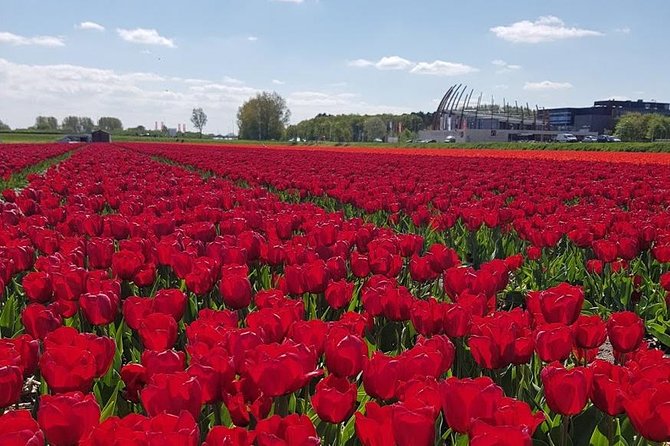 Keukenhof Skip-the-line Tickets: Countryside & Farm Private Tour - Zaanse Schans: Windmills Along the Zaan