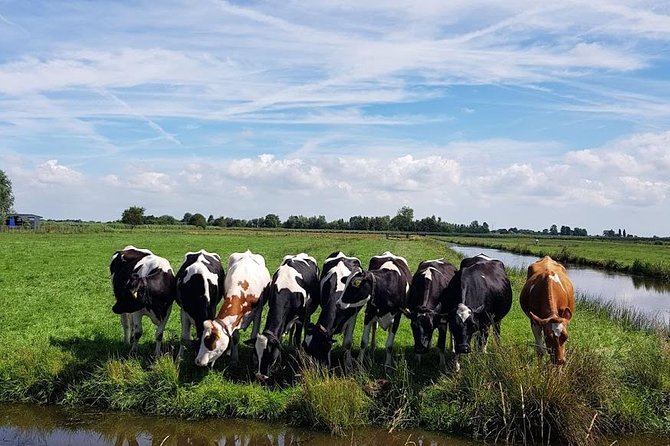 Keukenhof Skip-the-line Tickets: Countryside & Farm Private Tour - Jacobs Hoeve Cheese Farm: A Taste of Dutch Gold