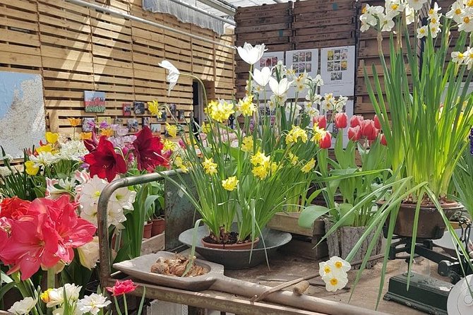 Keukenhof Skip-the-line Tickets: Countryside & Farm Private Tour - Lisse: Flower Fields Beyond the Garden Gates