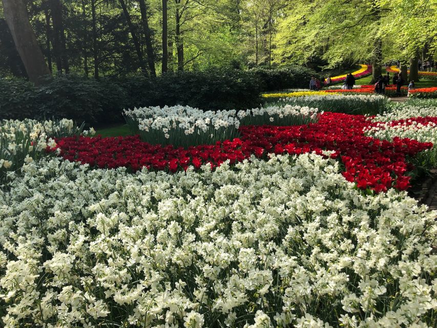 Keukenhof, Tulip Farm, Flower Fields & Windmills - Key points to know before booking
