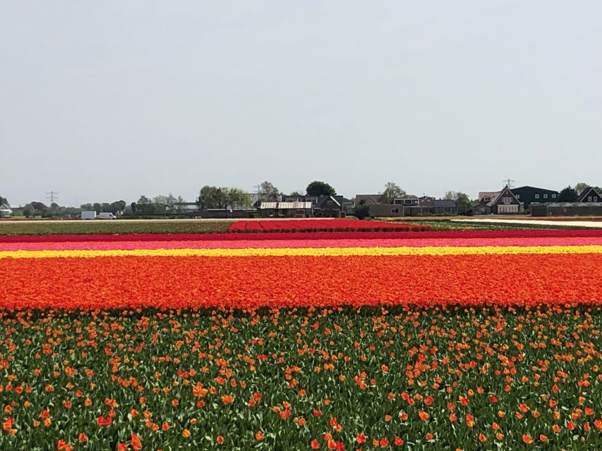 Keukenhof, Tulip Farm, Flower Fields & Windmills - Comfort, clothing, and access