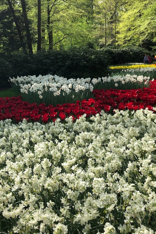 Keukenhof, Tulip Farm, Flower Fields & Windmills - Zaanse Schans and the old windmill trade