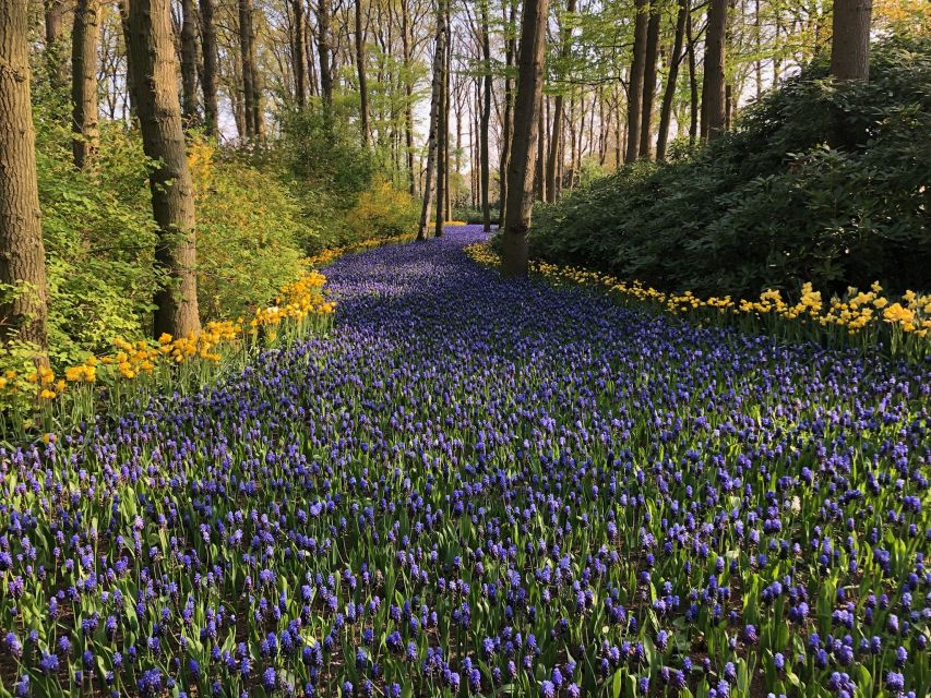 Keukenhof, Tulip Farm, Flower Fields & Windmills - What the private guide adds