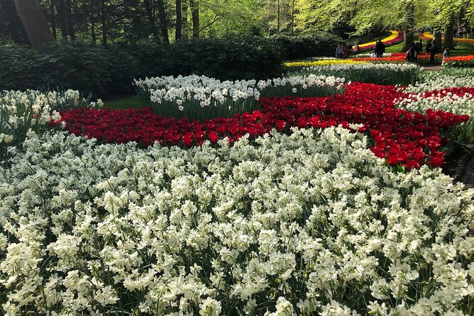 Keukenhof, Tulip Farm, Flower Fields & Zaanse Schans Windmills - Why this private Amsterdam day works