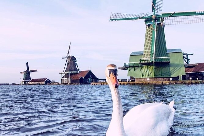 Keukenhof, Tulip Farm, Flower Fields & Zaanse Schans Windmills - The value of a private guide and vehicle