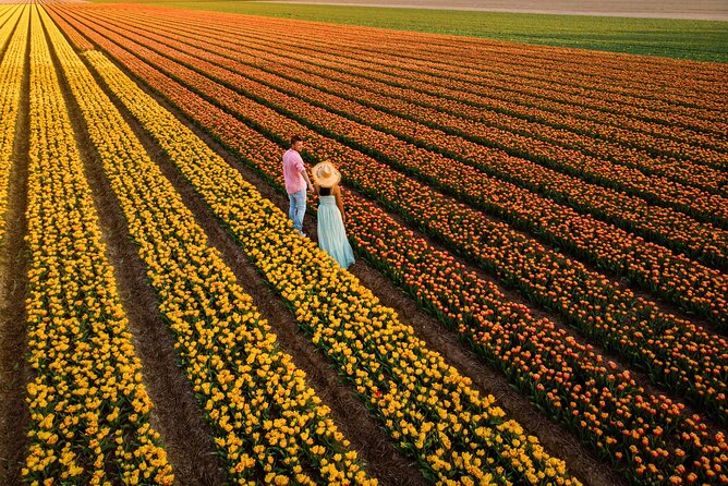 Keukenhof Tulip Garden Tour - The Drive Through Holland’s Flower-Bulb Region