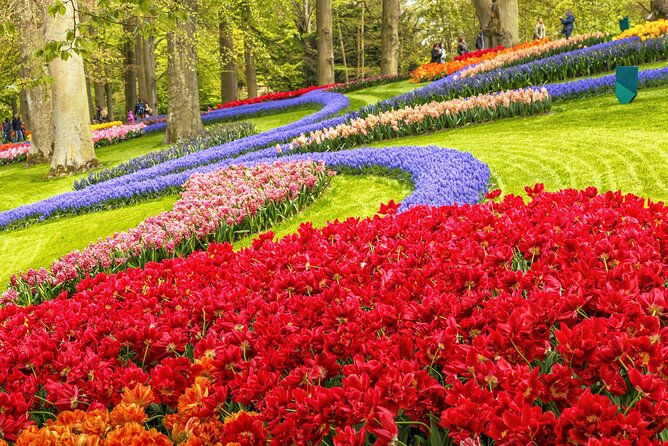 Keukenhof Tulip Garden Tour - What Private Transport Adds to the Experience