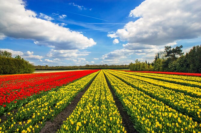 Keukenhof Tulip Garden Tour - Is $636.25 a Fair Price for Up to Eight People?
