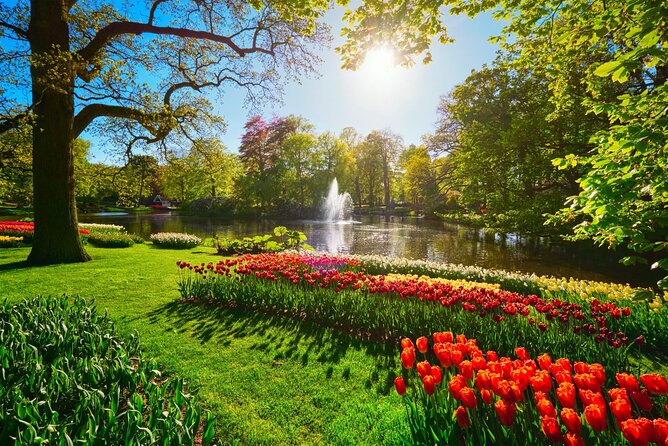 Keukenhof Tulip Garden Tour - Who Will Get the Most From This Tour?