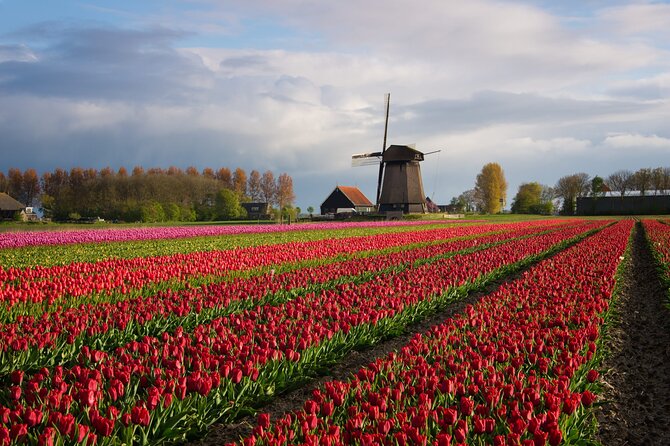 Keukenhof Tulip Garden Tour - Walking Into Keukenhof’s Spring Displays