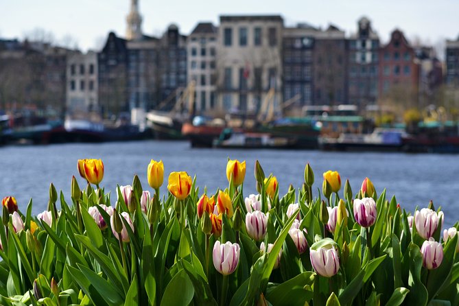 Keukenhof & Zaanse Schans (Best of Holland with windmill) Guided Tour with local - What this tour is trying to show you