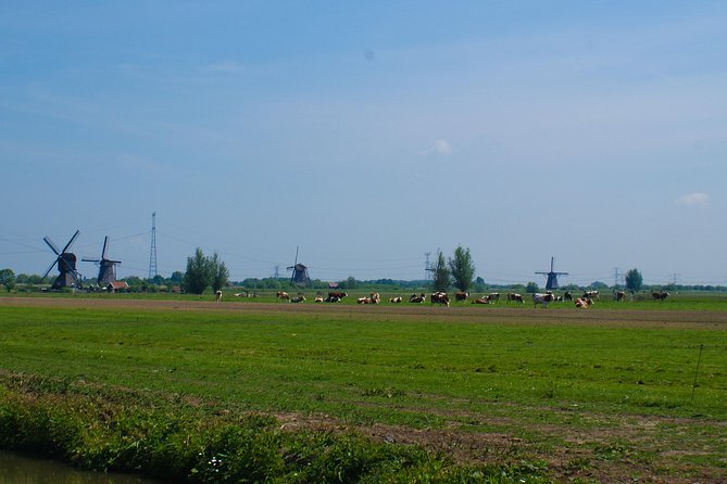 Kinderdijk Area Cycling Tour - Meeting a local cheese producer