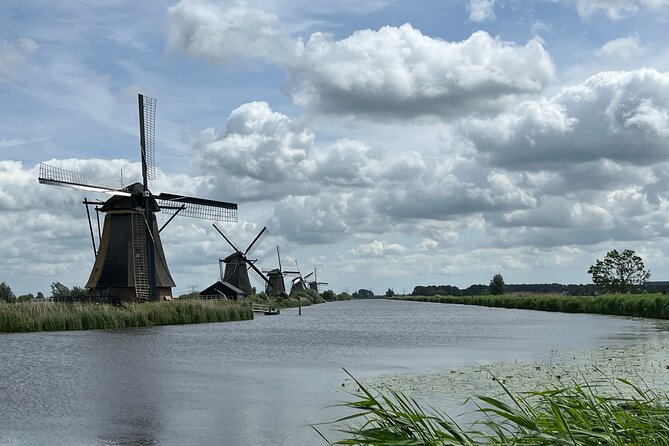 Kinderdijk Windmills, Delft City & Delft Blue Factory Visit - Who should book this Kinderdijk and Delft tour?