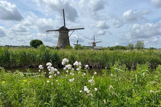 Kinderdijk Windmills, Delft City & Delft Blue Factory Visit - Delft, canals, churches, and Delft Blue