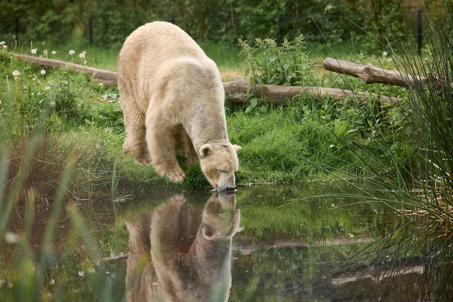 Leewarden: AquaZoo Entry Ticket - Key things to know before you go