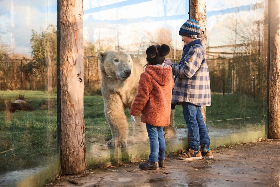 Leewarden: AquaZoo Entry Ticket - Booking, timing, and flexibility