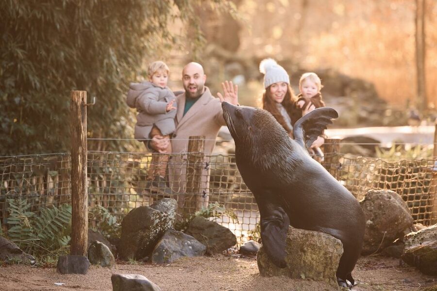 Leewarden: AquaZoo Entry Ticket - Red pandas, capibaras, nandus, and newer arrivals