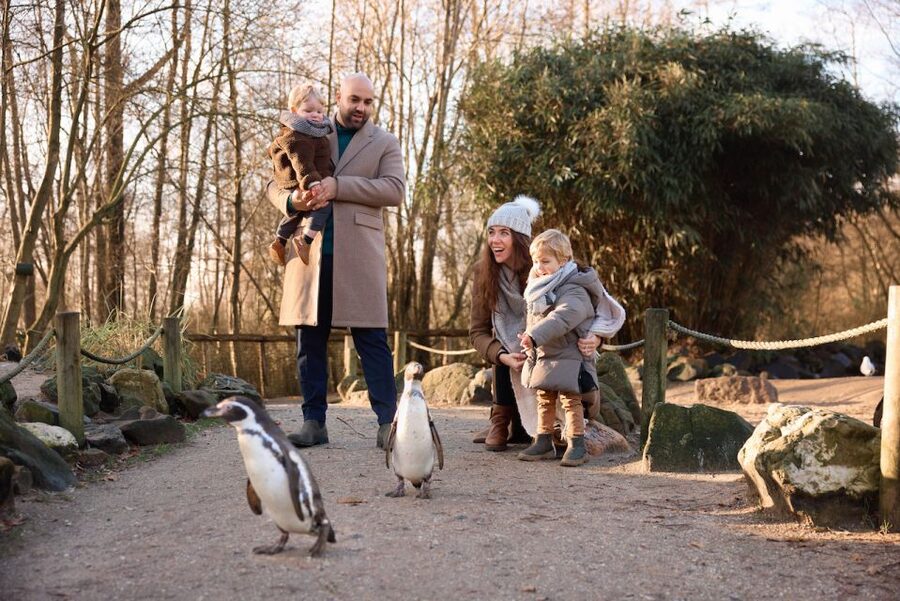 Leewarden: AquaZoo Entry Ticket - Aquariums may be the weaker part of the visit