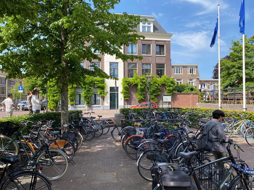 Leiden: Historical private guided tour from Amsterdam - Leiden University, the Academy Building, and the botanical gardens