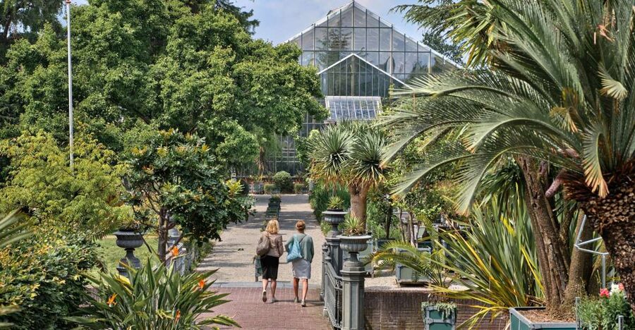 Leiden: Hortus Botanicus Entry Ticket - Quick points before you go