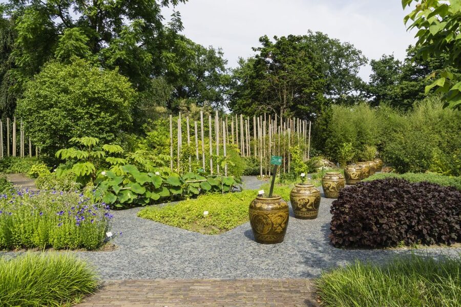 Leiden: Hortus Botanicus Entry Ticket - How long to allow and how to plan the visit