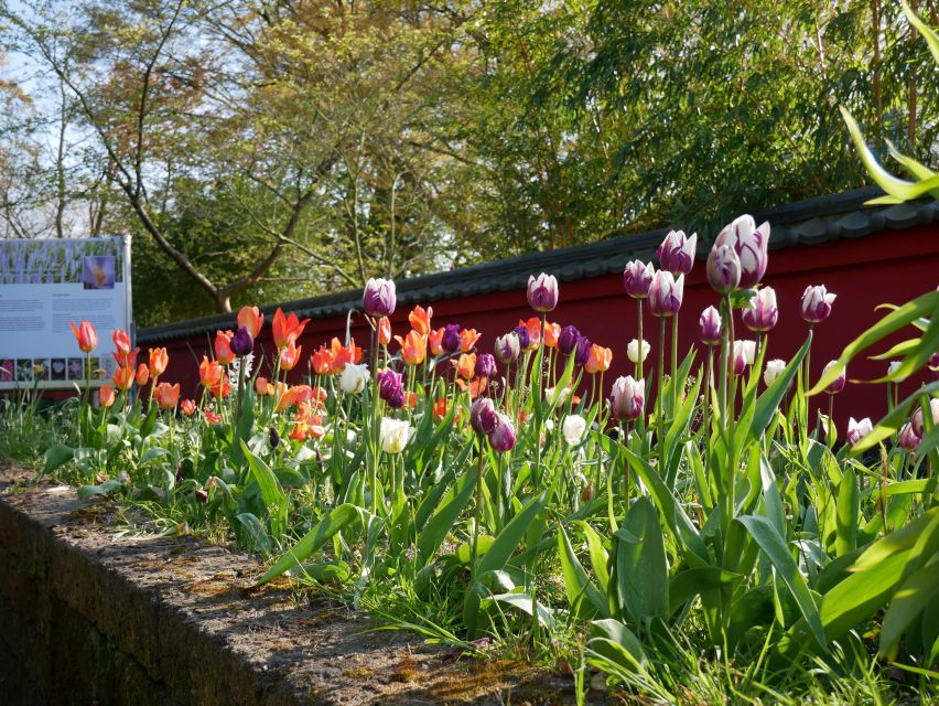 Leiden: Hortus Botanicus Entry Ticket - The Japanese Garden and plant exchange
