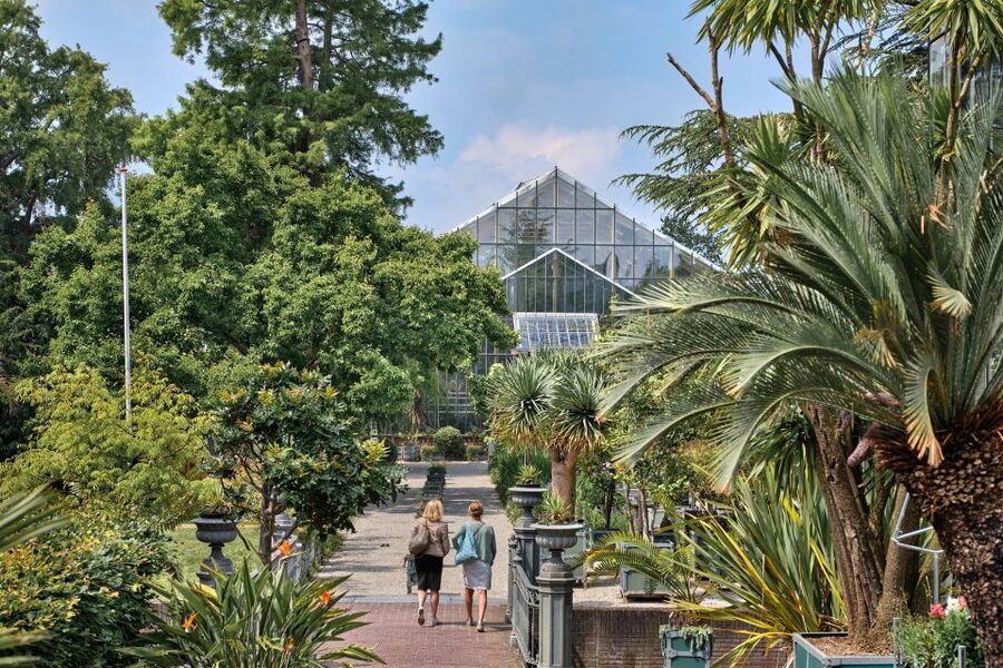 Leiden: Hortus Botanicus Entry Ticket - Seasonal plants that reward good timing