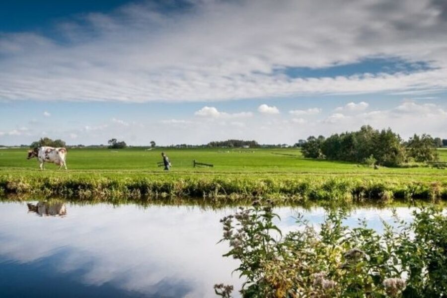 Leiden: Windmill and Countryside Cruise near Keukenhof - Key points to know before booking