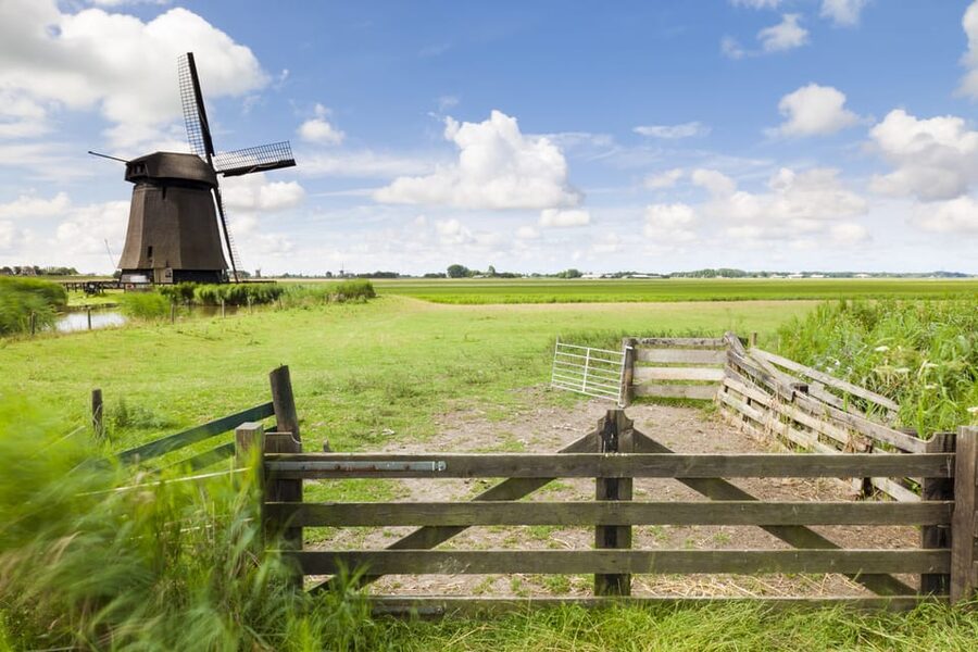 Lisse: Drive-it-Yourself Dutch Countryside GPS Audio Tour - The villages where the pace slows down