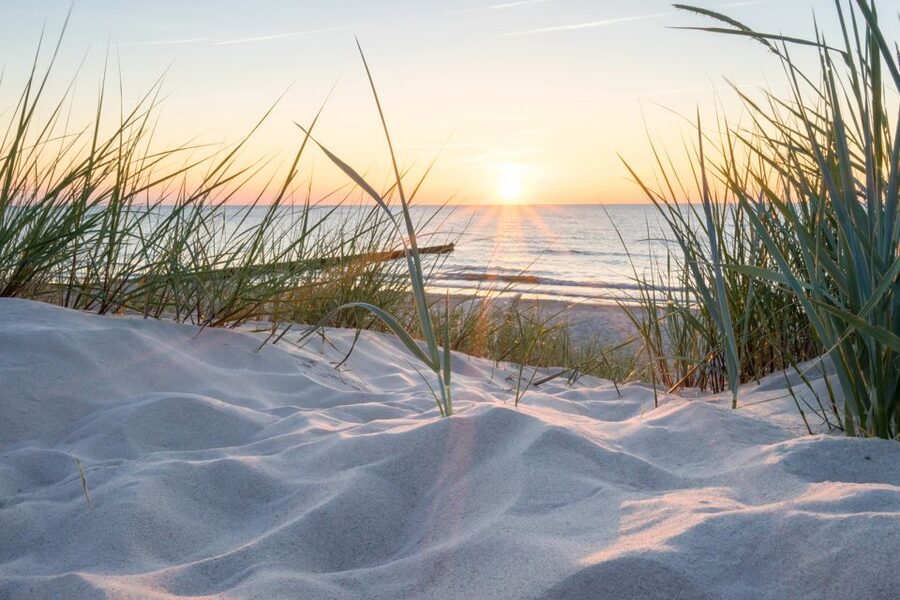 Lisse: Drive-it-Yourself Electric Dune & Beach Audio Tour - Getting comfortable in the electric Renault Twizy