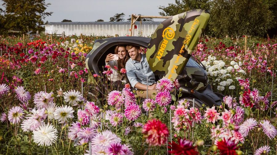 Lisse: Drive-it-Yourself Summer Flower GPS Audio Tour - Key points to know before you book