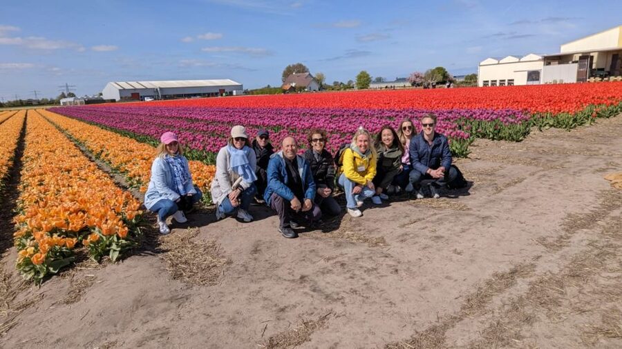 Lisse: Enjoy the Tulip Fields by Bike with a Local Guide! - The flower fields change with the calendar