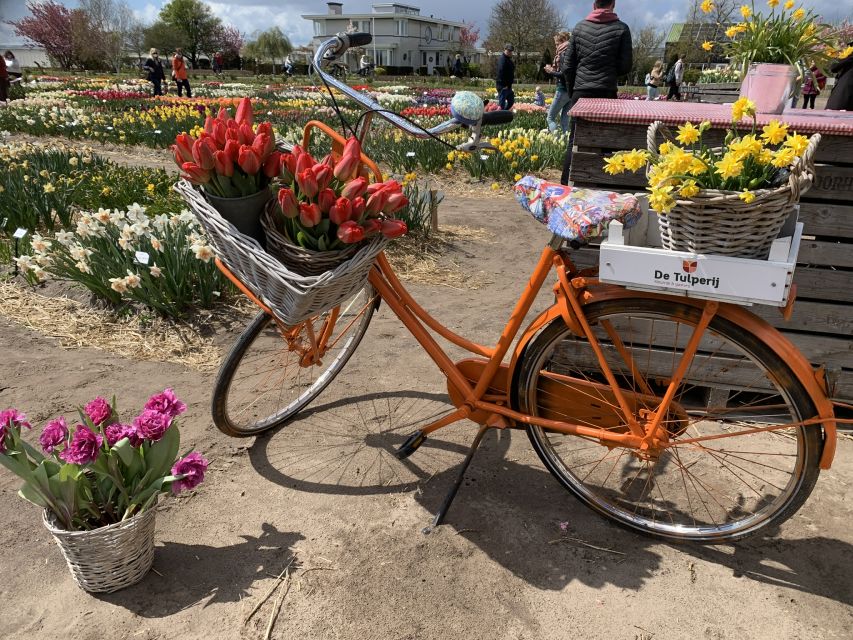 Lisse: Enjoy the Tulip Fields by Bike with a Local Guide! - What the 15-kilometer distance feels like