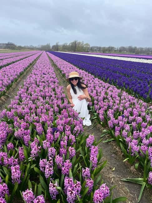 Lisse: Private Tulip Fields Tour with a Local Guide 1h Tour - What this Lisse tulip tour really offers