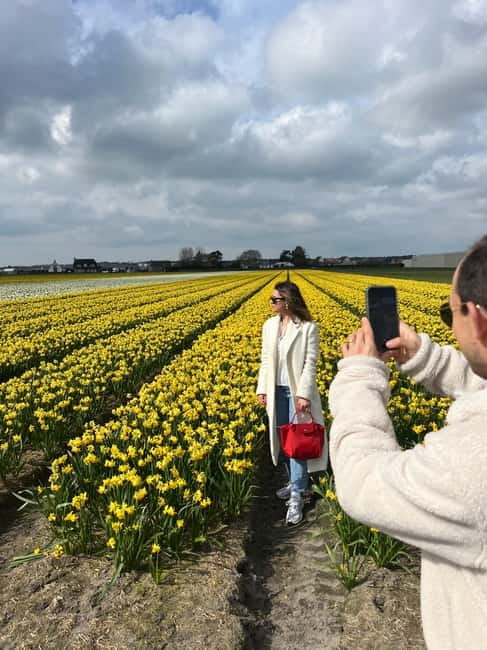 Lisse: Private Tulip Fields Tour with a Local Guide 1h Tour - Photos, flowers, and weather