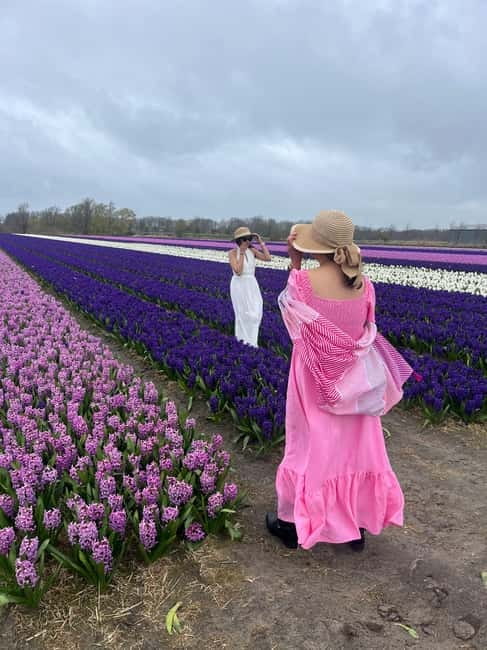Lisse: Private Tulip Fields Tour with a Local Guide 1h Tour - Who will enjoy this experience most?
