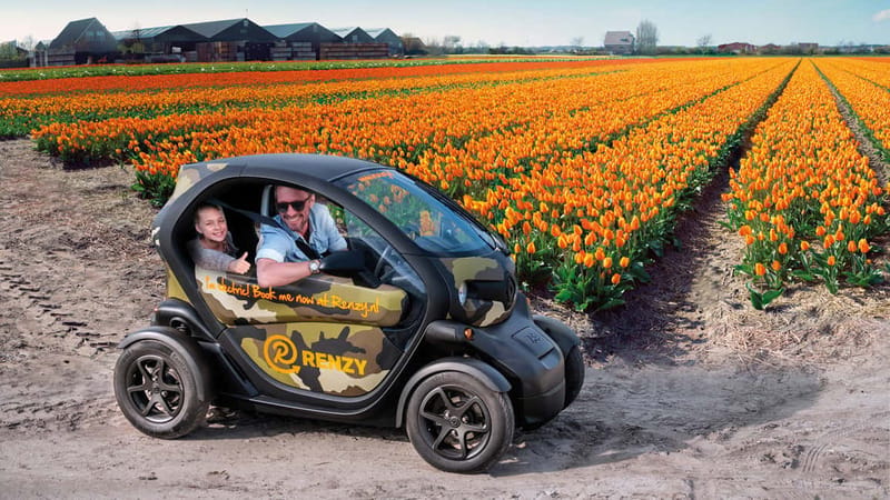Lisse: Self-Guided Tulip Fields GPS Audio Tour - Key points at a glance