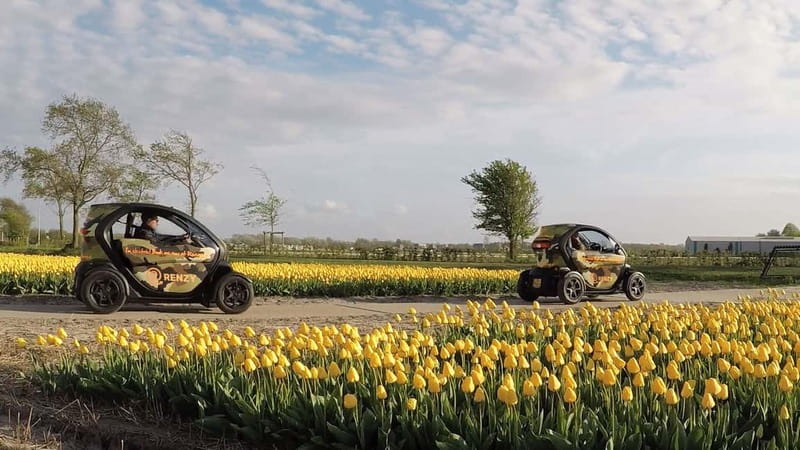 Lisse: Self-Guided Tulip Fields GPS Audio Tour - Why the Twizy is the star of the ride