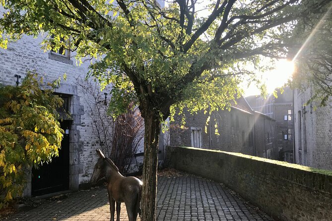 Maastricht Heritage and Nature Tour - What the guide adds to the walk