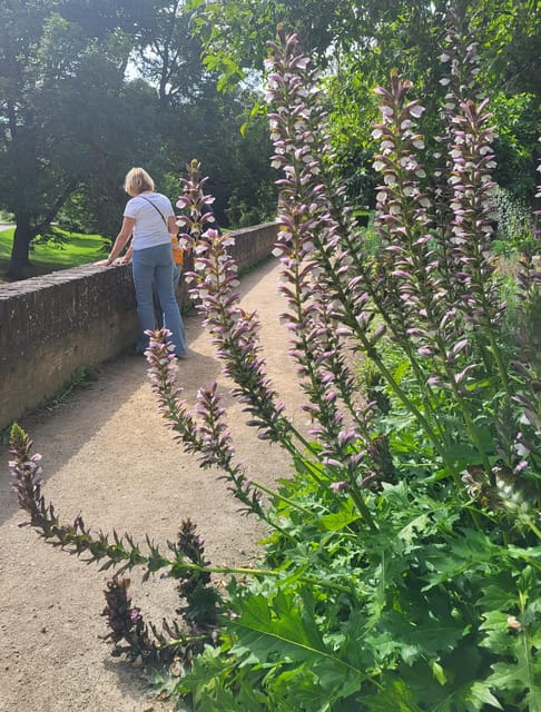 Maastricht Hidden Gems Tour Uncover the Unexpected - Op de Thermen and the early city