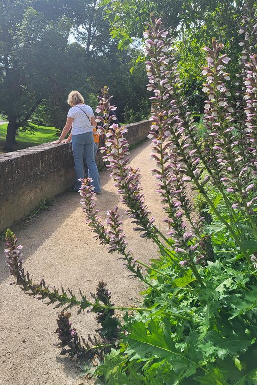 Maastricht Hidden Gems Tour Uncover the Unexpected - The Jeker wall and Het Vagevuur
