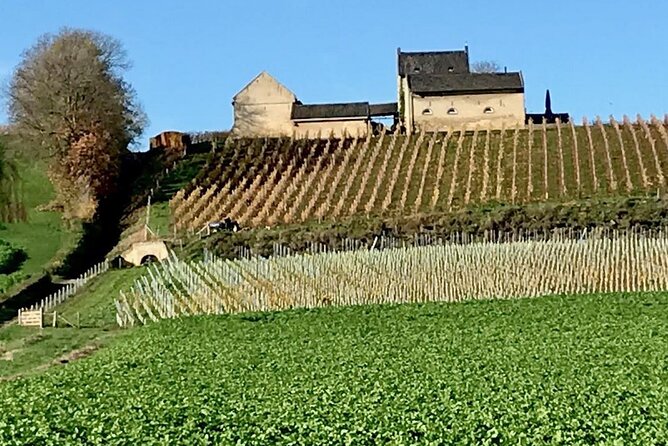 Maastricht Privat Sightseeing City Walk - The guide’s role makes the difference