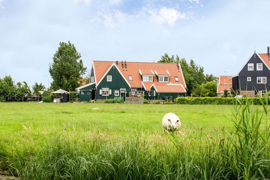 Marken, Volendam and Edam: Private Full-Day Tour - Edam, the calmest and most rewarding stop