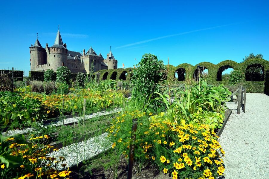 Muiden: Entry Ticket to Muiderslot Castle - Key points to know before you go