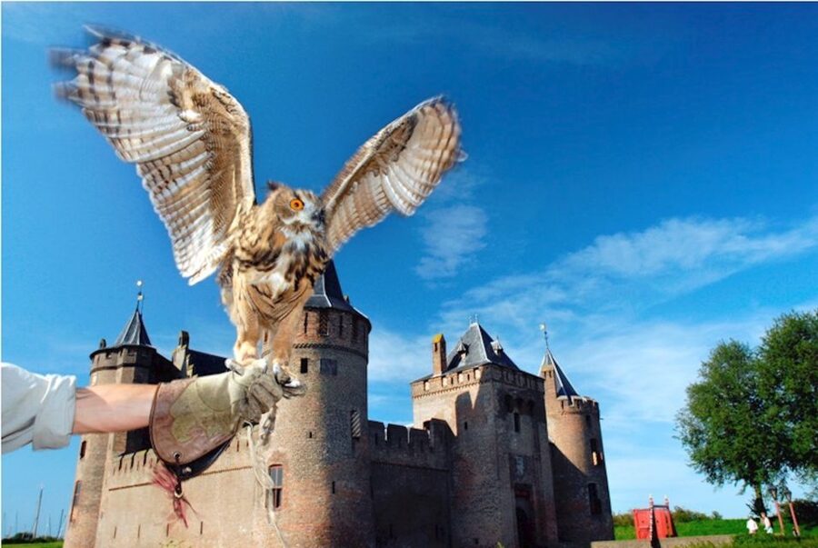 Muiden: Entry Ticket to Muiderslot Castle - Inside the castle: medieval life in real rooms