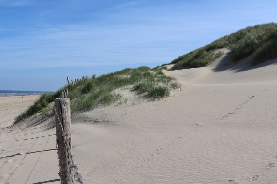 Noordwijk: Beach and Dunes Bike Tour - Practical tips for a smoother outing