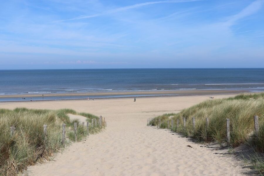 Noordwijk: Beach and Dunes Bike Tour - Reaching the beach and the Dutch apple-pie break