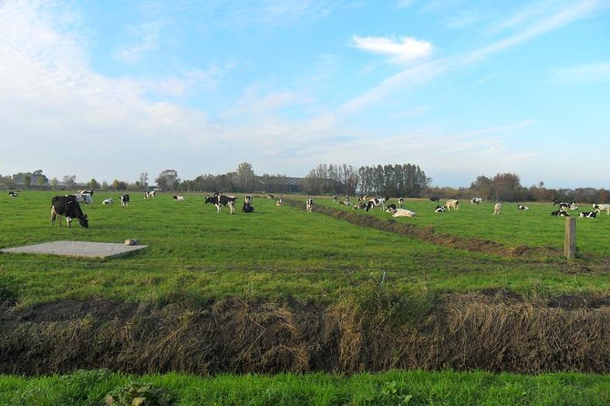 Off the Beaten Paths Dutch Landscape Private Tour 1/2 day Jaguar - Zuiderwoude and the final countryside views